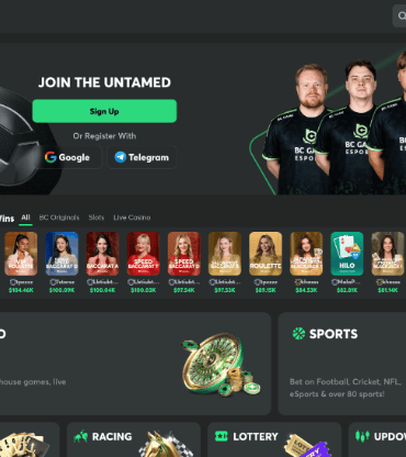 BC.GAME Crypto Casinos