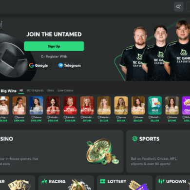 BC.GAME Crypto Casinos
