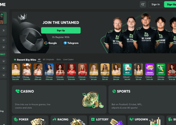 BC.GAME Crypto Casinos